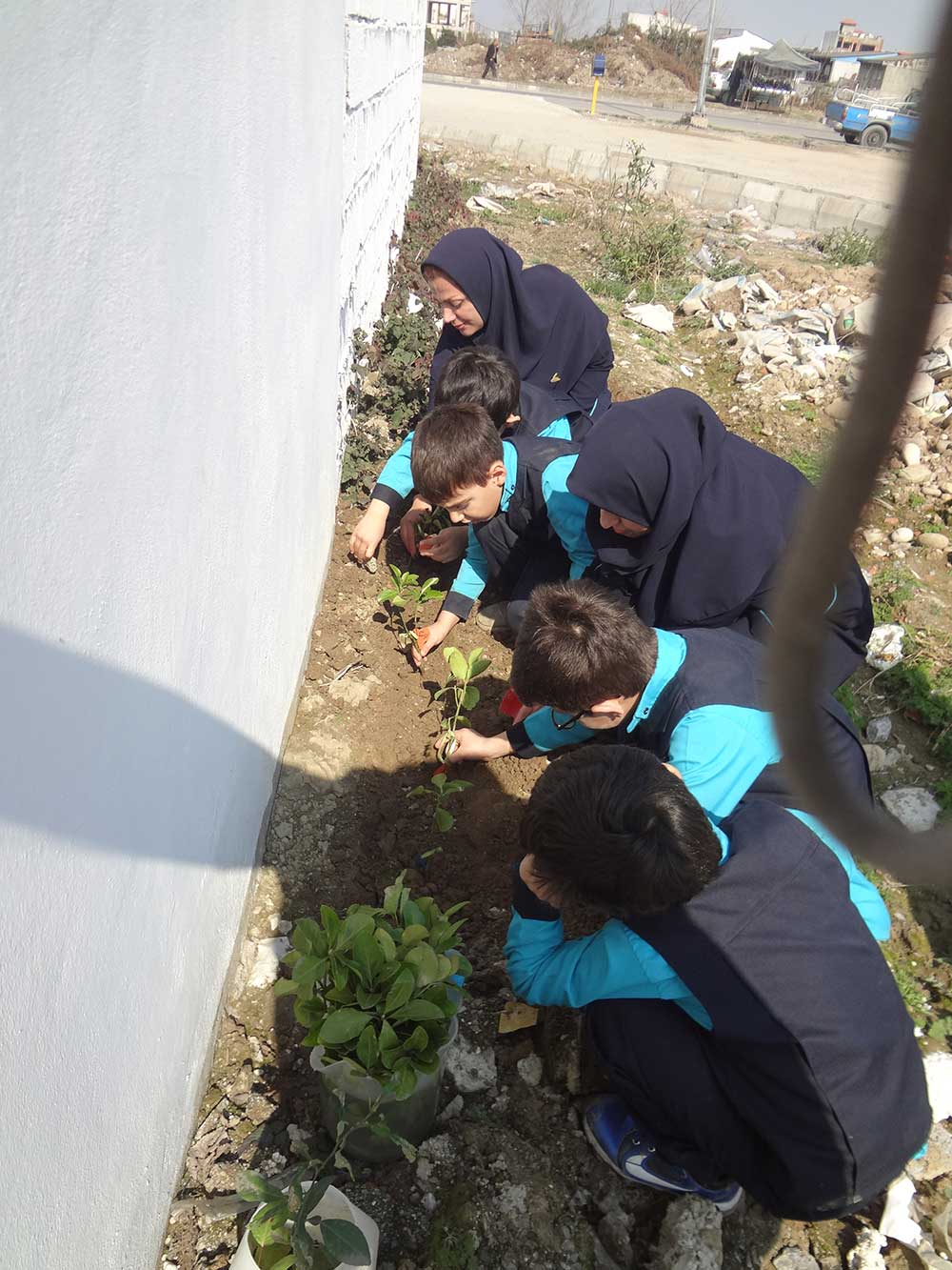 روز درختکاری