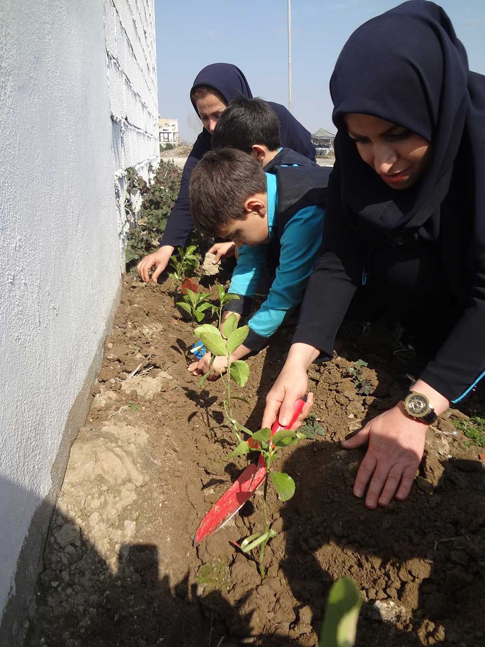 روز درختکاری