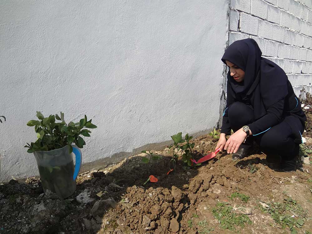 روز درختکاری