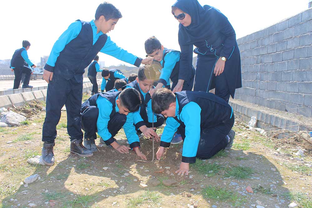 روز درختکاری