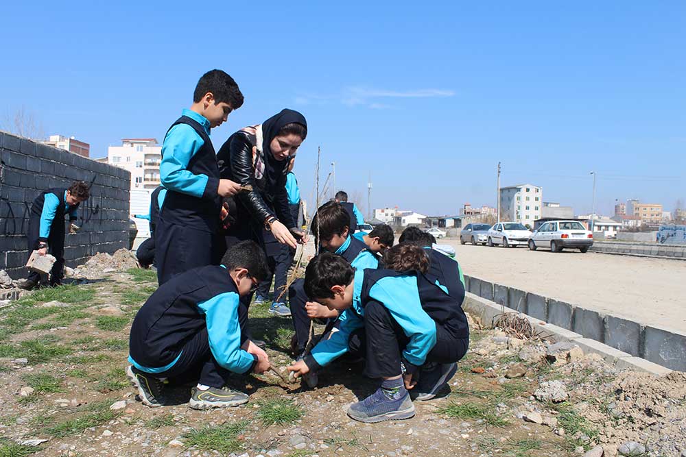 روز درختکاری