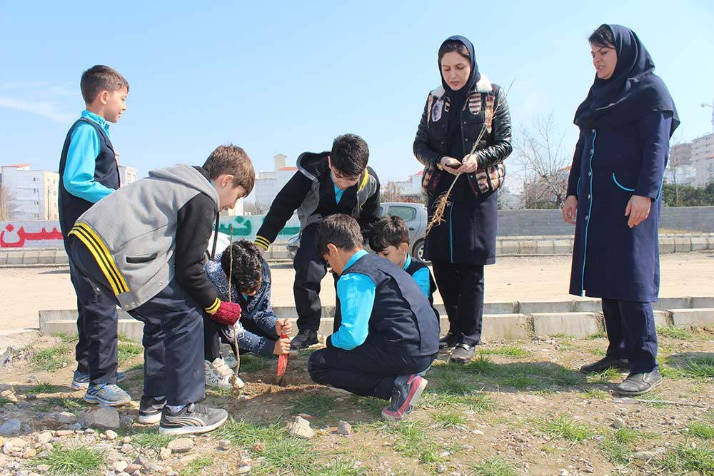 روز درختکاری