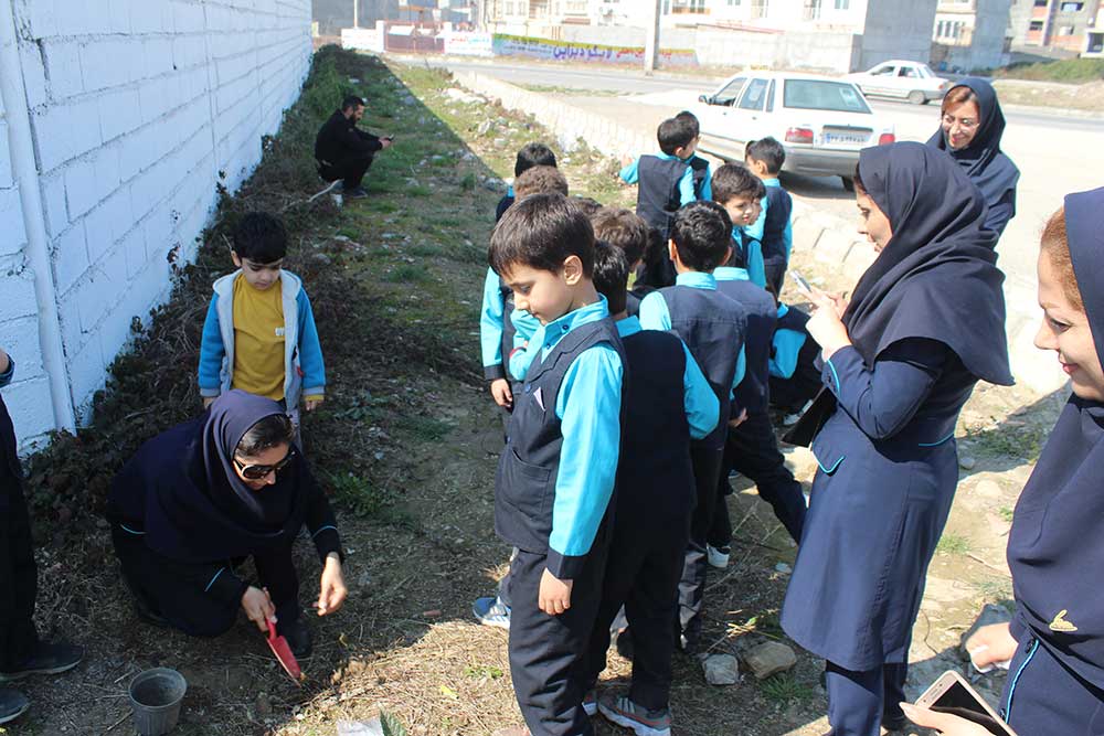 روز درختکاری