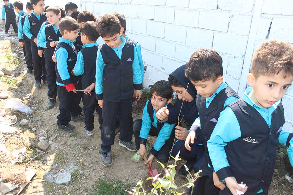 روز درختکاری