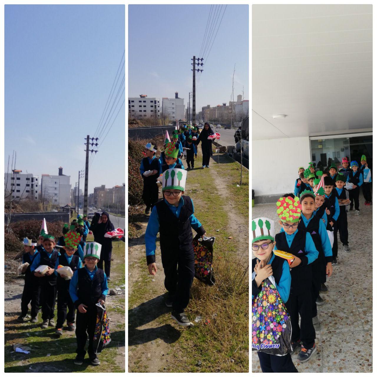 درختکاری