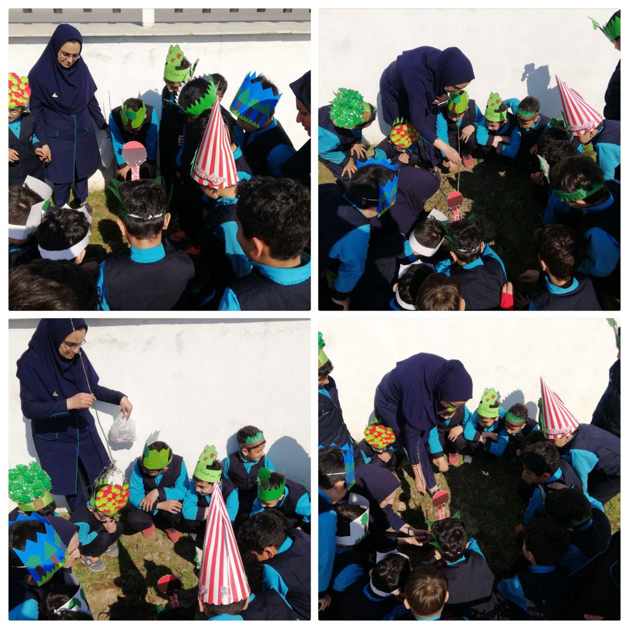 درختکاری